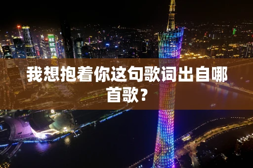 我想抱着你这句歌词出自哪首歌？