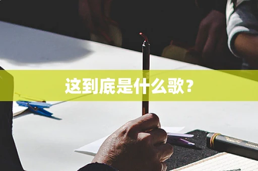 这到底是什么歌？