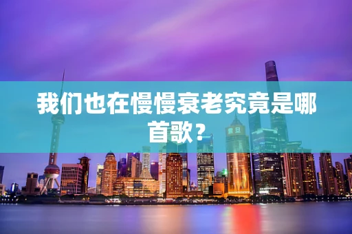 我们也在慢慢衰老究竟是哪首歌？