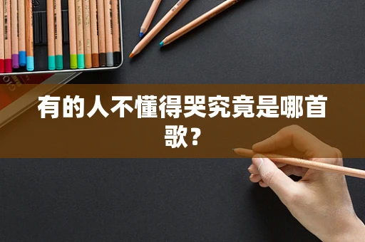 有的人不懂得哭究竟是哪首歌？