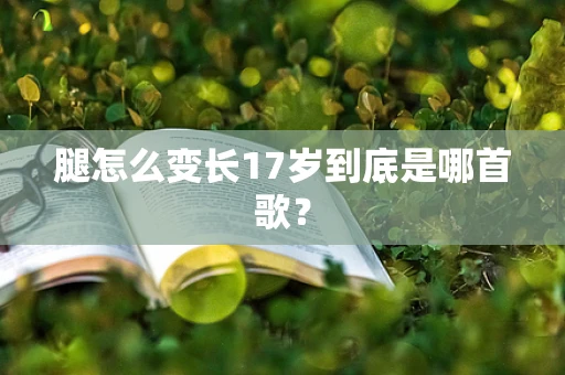 腿怎么变长17岁到底是哪首歌？