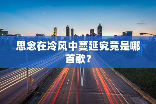 思念在冷风中蔓延究竟是哪首歌？