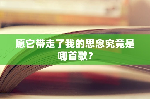 愿它带走了我的思念究竟是哪首歌？