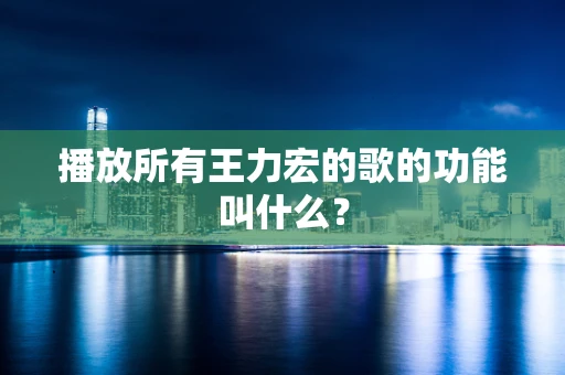 播放所有王力宏的歌的功能叫什么？