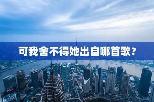 可我舍不得她出自哪首歌？