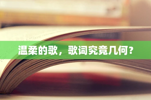 温柔的歌，歌词究竟几何？
