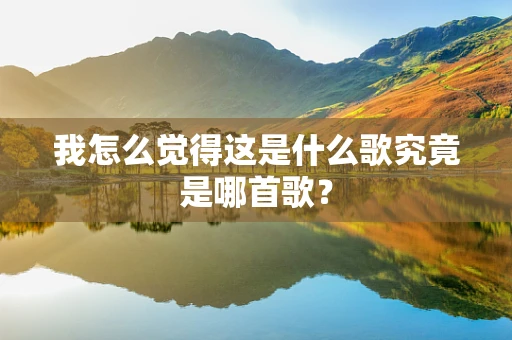 我怎么觉得这是什么歌究竟是哪首歌？