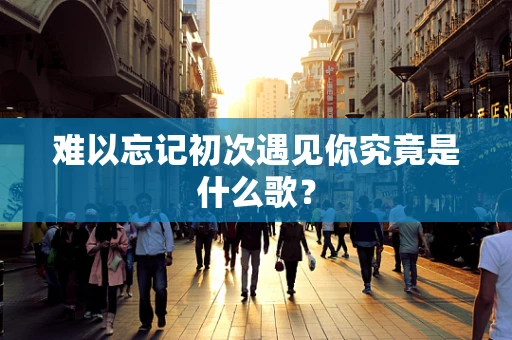 难以忘记初次遇见你究竟是什么歌？