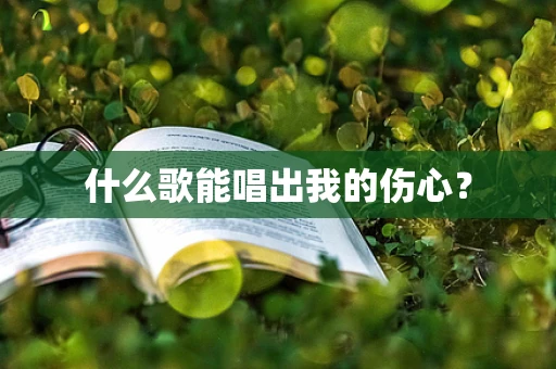 什么歌能唱出我的伤心？