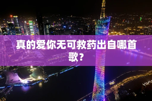 真的爱你无可救药出自哪首歌？