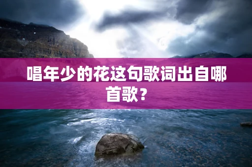 唱年少的花这句歌词出自哪首歌？