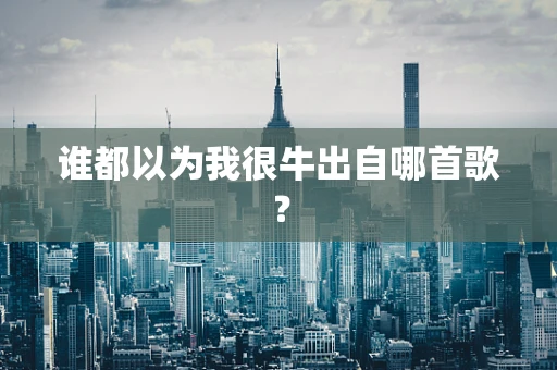 谁都以为我很牛出自哪首歌？
