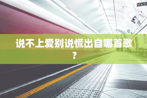 说不上爱别说慌出自哪首歌？