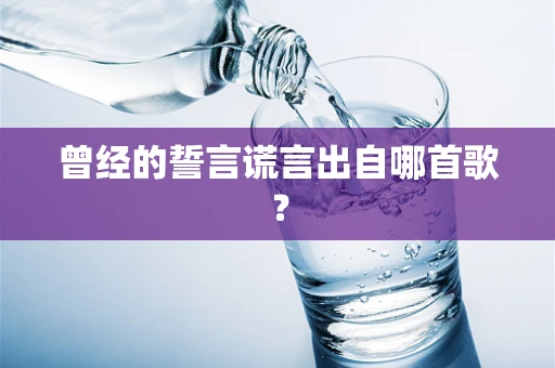 曾经的誓言谎言出自哪首歌？