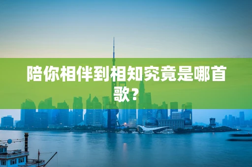 陪你相伴到相知究竟是哪首歌？