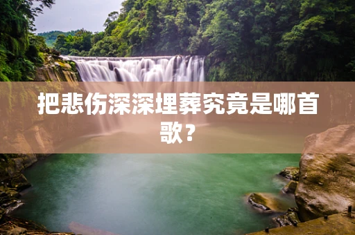 把悲伤深深埋葬究竟是哪首歌？