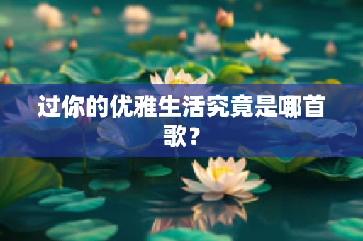 过你的优雅生活究竟是哪首歌？
