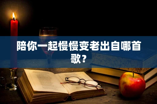 陪你一起慢慢变老出自哪首歌？