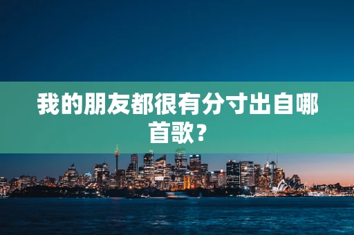 我的朋友都很有分寸出自哪首歌？