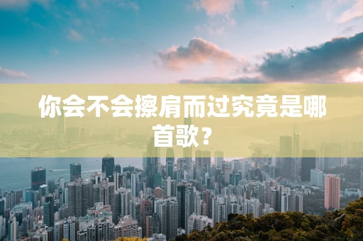 你会不会擦肩而过究竟是哪首歌？