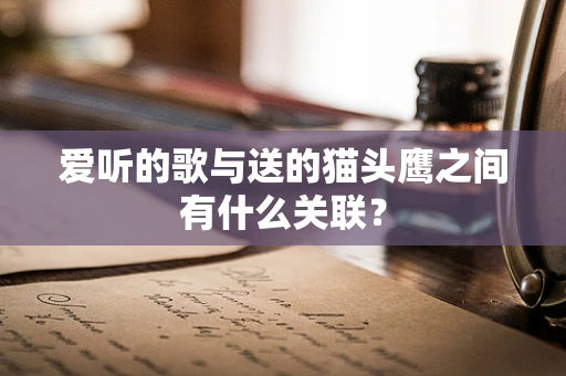 爱听的歌与送的猫头鹰之间有什么关联？