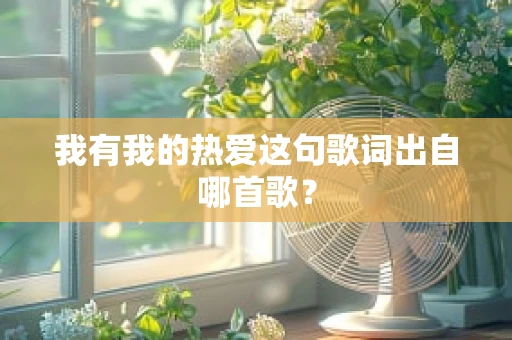 我有我的热爱这句歌词出自哪首歌？