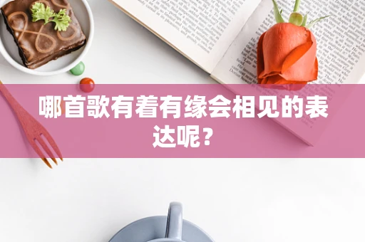 哪首歌有着有缘会相见的表达呢？