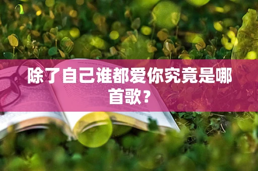 除了自己谁都爱你究竟是哪首歌？