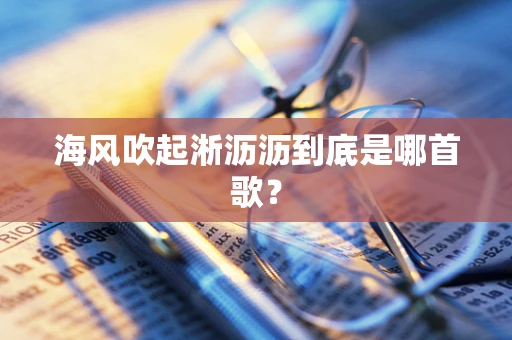 海风吹起淅沥沥到底是哪首歌？
