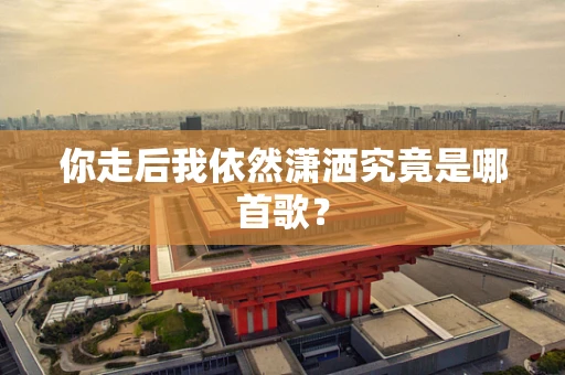 你走后我依然潇洒究竟是哪首歌？