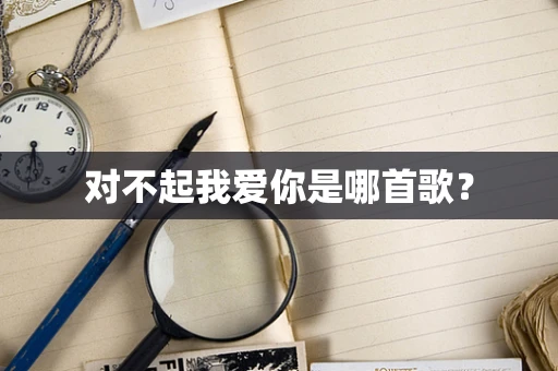 对不起我爱你是哪首歌？