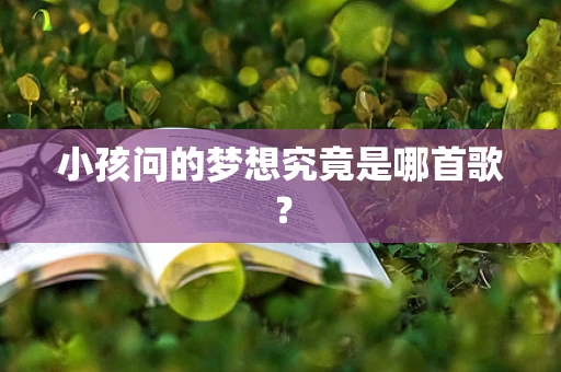 小孩问的梦想究竟是哪首歌？