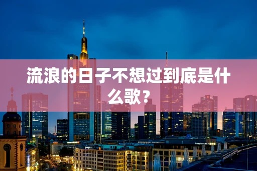 流浪的日子不想过到底是什么歌？