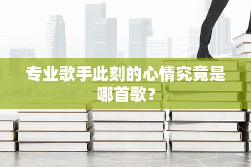 专业歌手此刻的心情究竟是哪首歌？