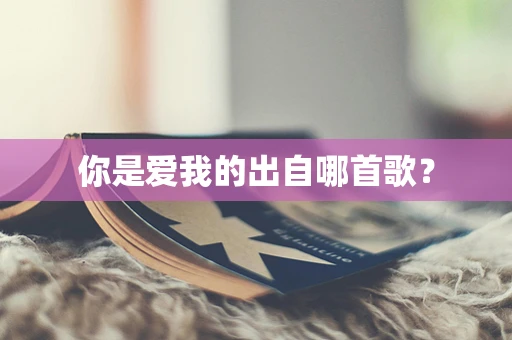 你是爱我的出自哪首歌？
