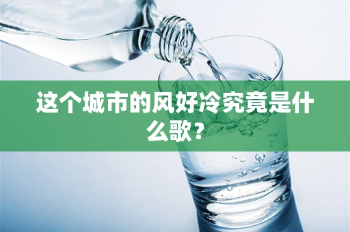 这个城市的风好冷究竟是什么歌？