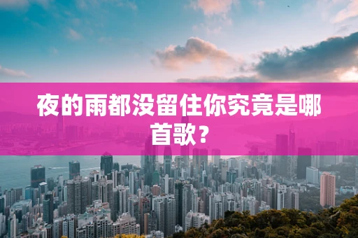 夜的雨都没留住你究竟是哪首歌？