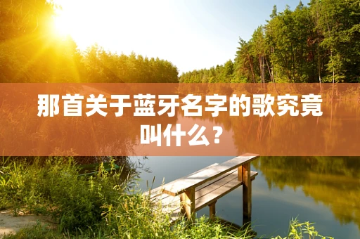 那首关于蓝牙名字的歌究竟叫什么？