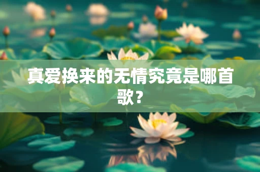 真爱换来的无情究竟是哪首歌？