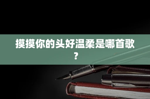 摸摸你的头好温柔是哪首歌？