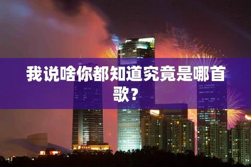 我说啥你都知道究竟是哪首歌？