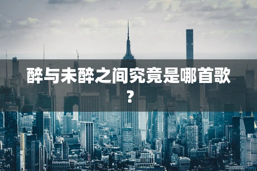 醉与未醉之间究竟是哪首歌？