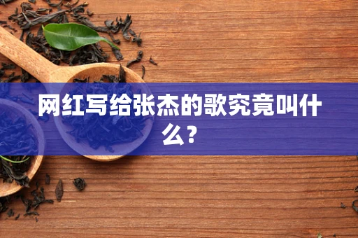 网红写给张杰的歌究竟叫什么？