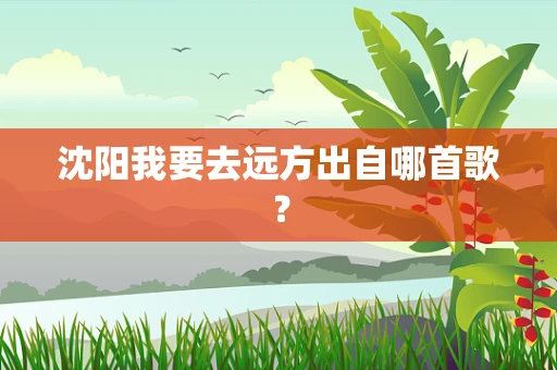 沈阳我要去远方出自哪首歌？