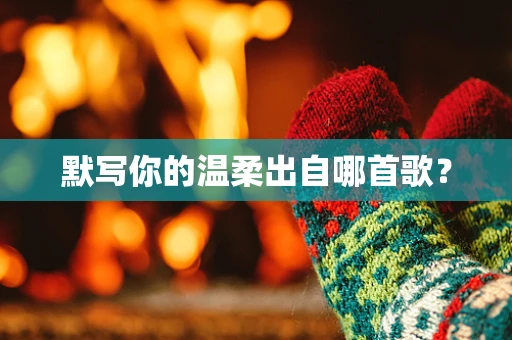 默写你的温柔出自哪首歌？