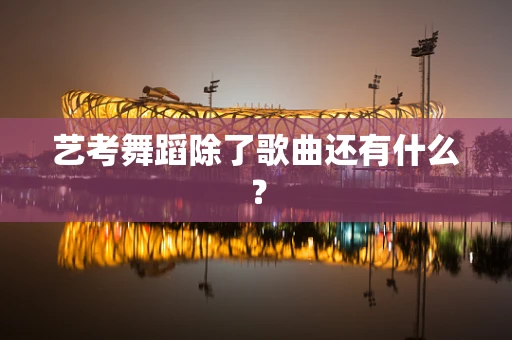 艺考舞蹈除了歌曲还有什么？