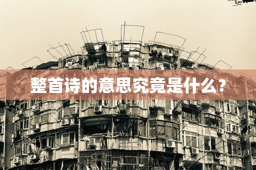 整首诗的意思究竟是什么？