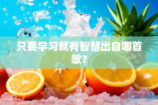 只要学习就有智慧出自哪首歌？