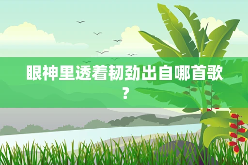 眼神里透着韧劲出自哪首歌？