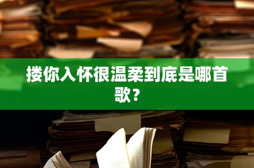 搂你入怀很温柔到底是哪首歌？